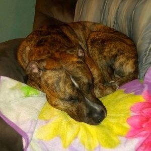 Meet your Posher, Kelly